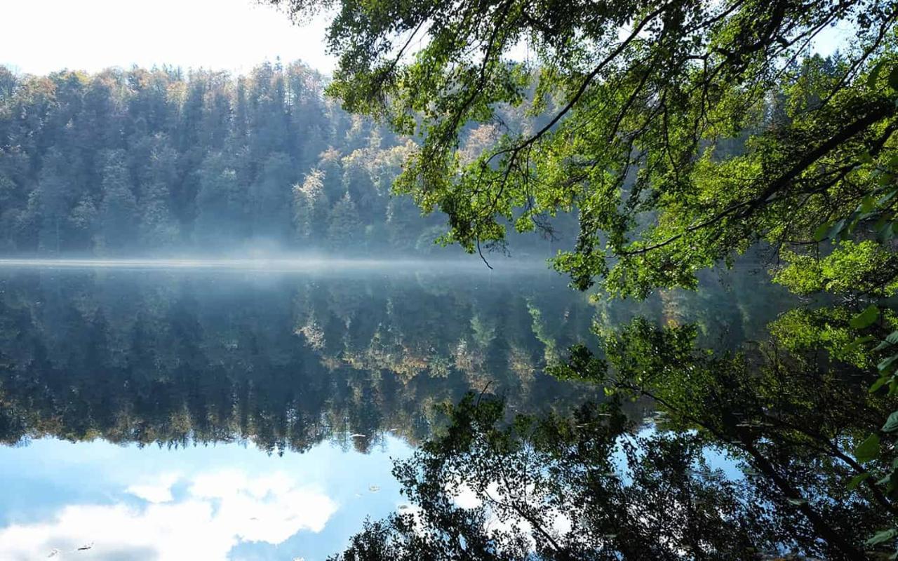 Ferienwohnung In Der Vulkaneifel "Opp Der Holl" Brockscheid Экстерьер фото