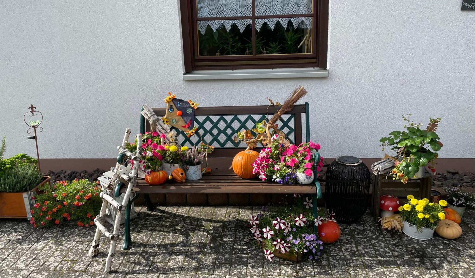 Ferienwohnung In Der Vulkaneifel "Opp Der Holl" Brockscheid Экстерьер фото